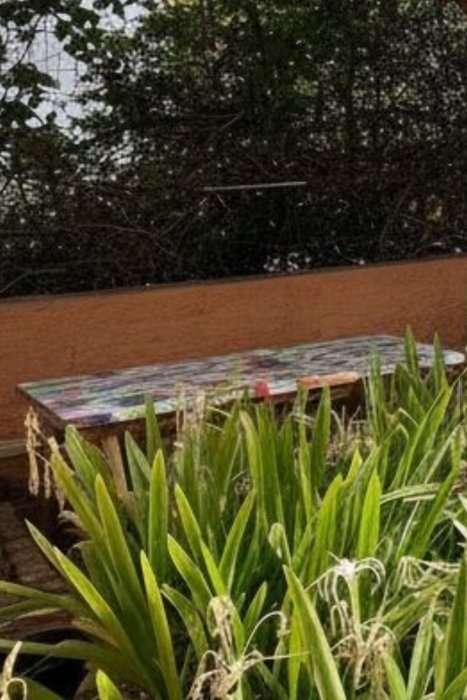 Aula de la Naturaleza para el CEIP Galicia