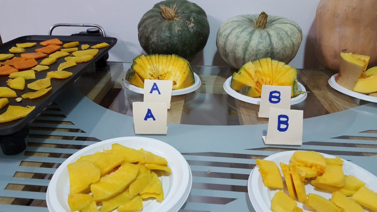 Tierras Vivas ¡Alimentos que emocionan!