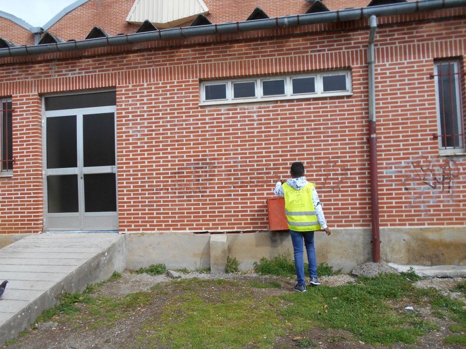 PROYECTO ECOLÓGICO - RVRB