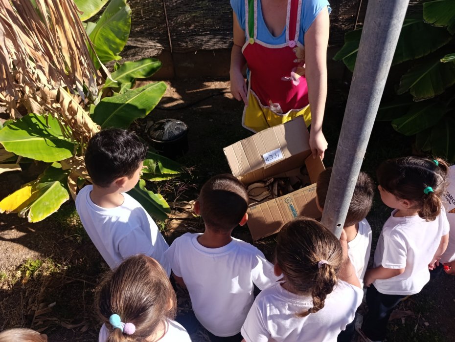 Compostera CEIP TUINEJE