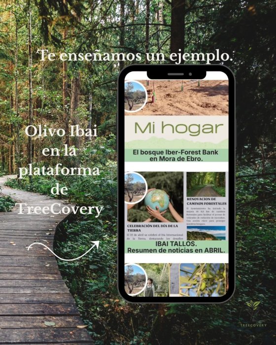TREECOVERY
