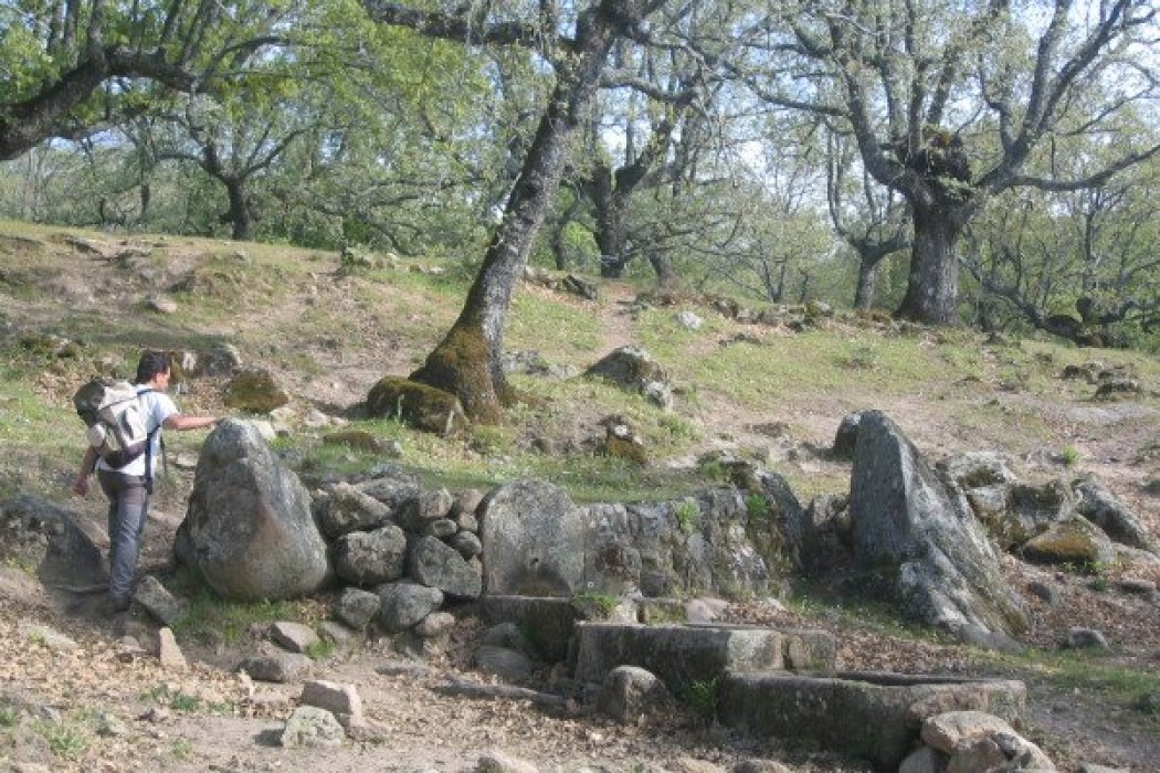 Declaración de Bosque Singular - Carvajal de Gredos