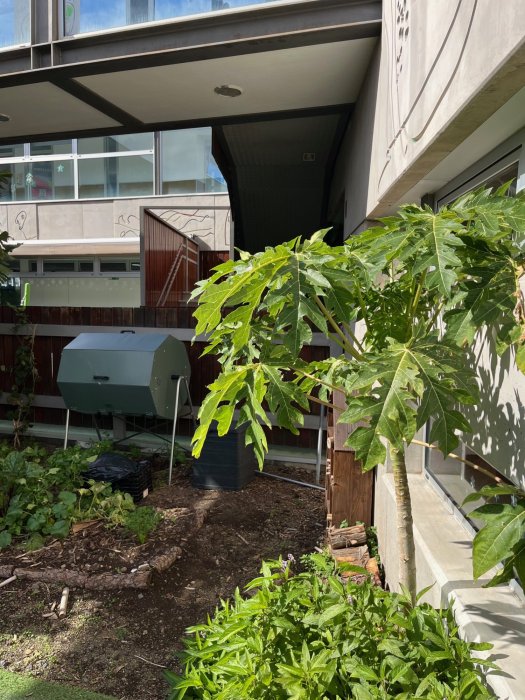 Compostera E.E.I. Doña Carmela