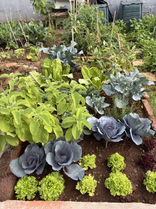 Escuela de ecología 