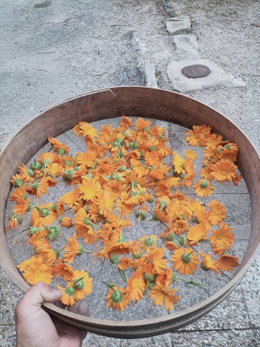 UN JARDÍN PARA TODO EL PUEBLO