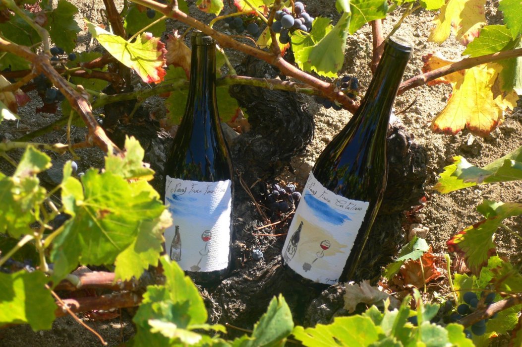 Bodega 7Navas