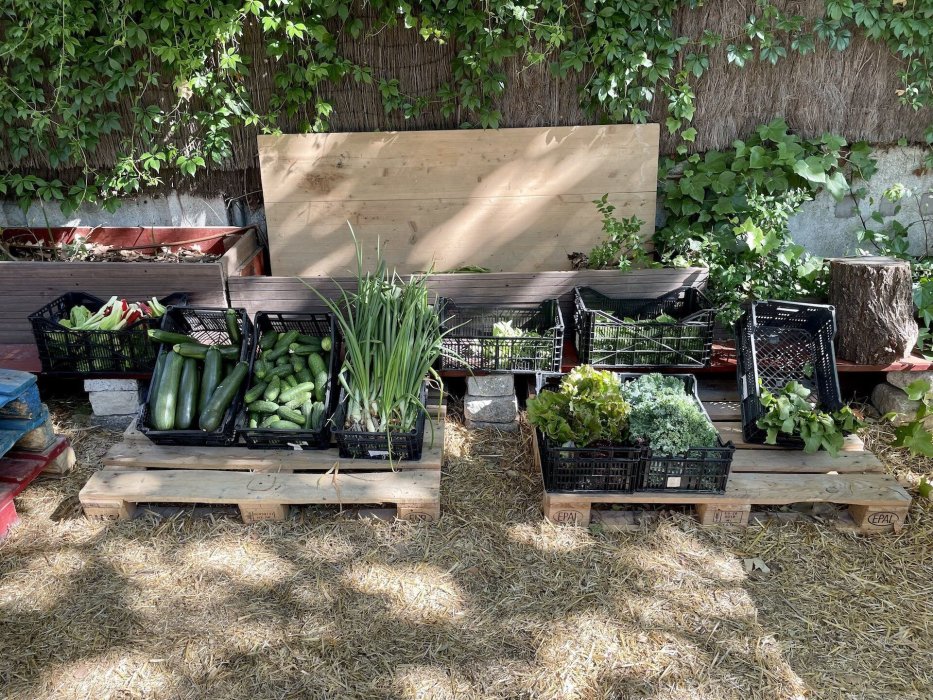 Huerto Urbano en Aravaca y Mercado de Productos Ecológicos