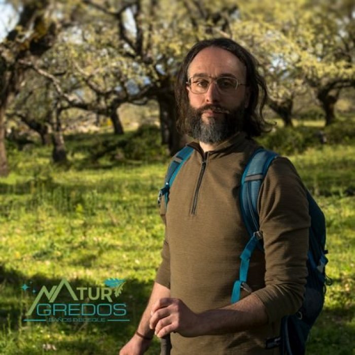 Declaración de Bosque Singular - Carvajal de Gredos