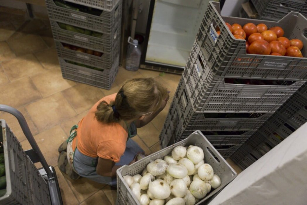 Supermercado cooperativo Terranostra: el consumo que transforma