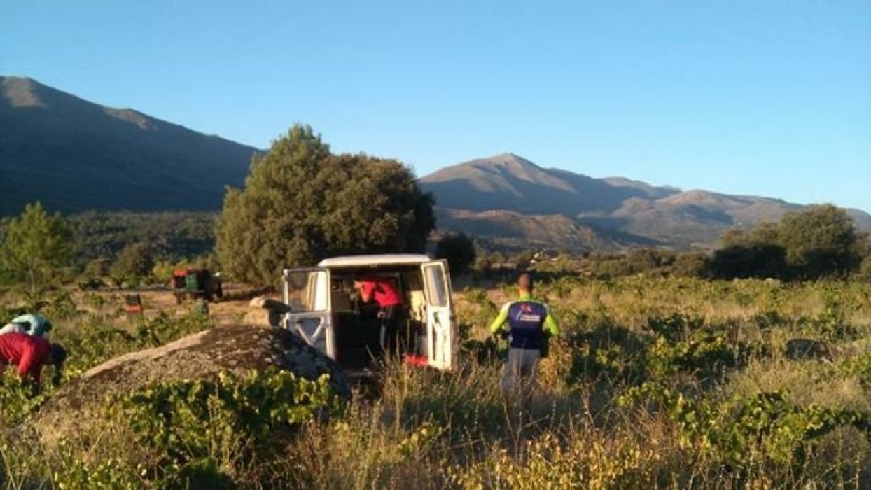 Bodega 7Navas