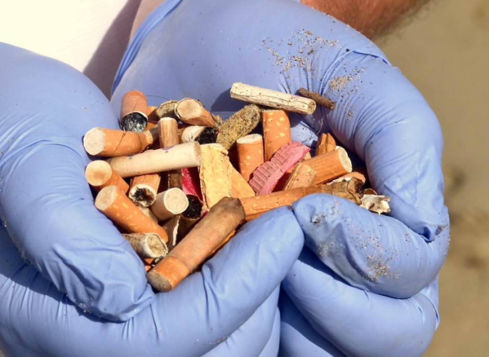 Explorando el Mar, Conservando la Vida - Reciclaje Club de buceo CIES Algeciras