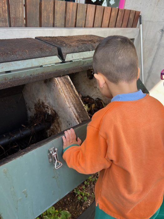 Compostera E.E.I. Doña Carmela