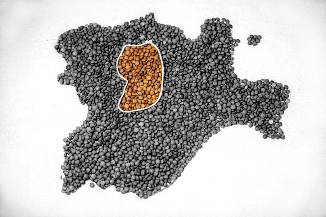 Lentejas de Tierra de Campos: sabor, tierra y legado rural