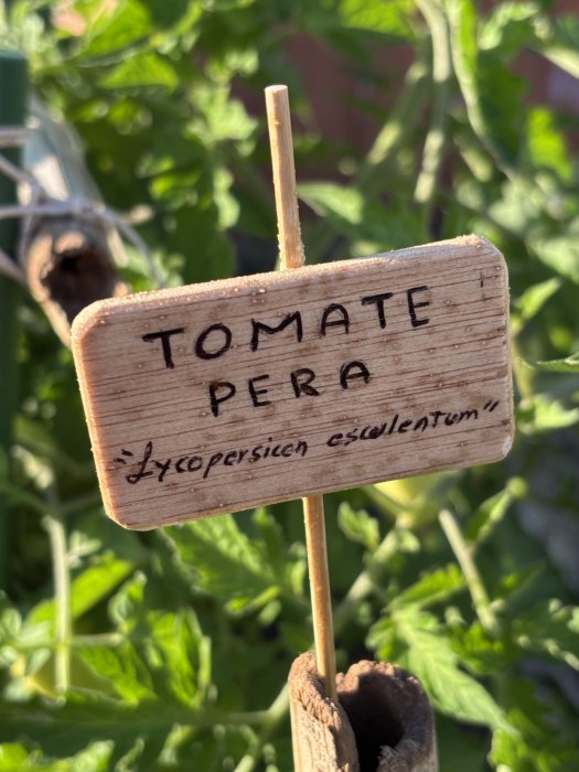 Escuela de ecología 