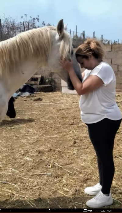 Taller Equina Sostenible