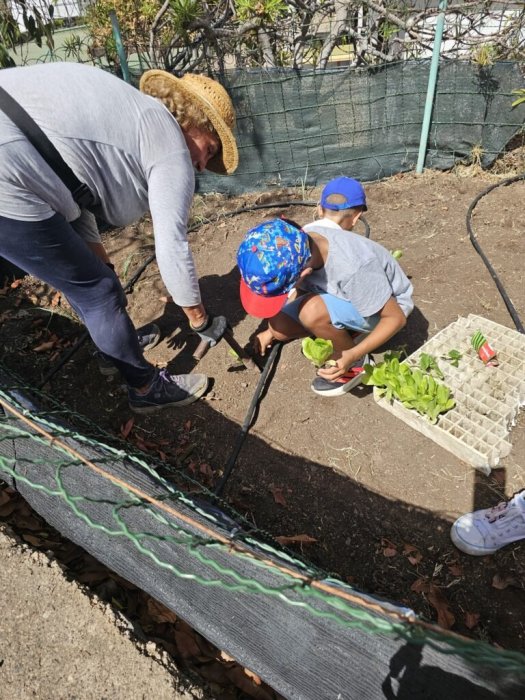 CEIP El Risco de Agaete El huerto escolar: sembrando aprendizajes y valores