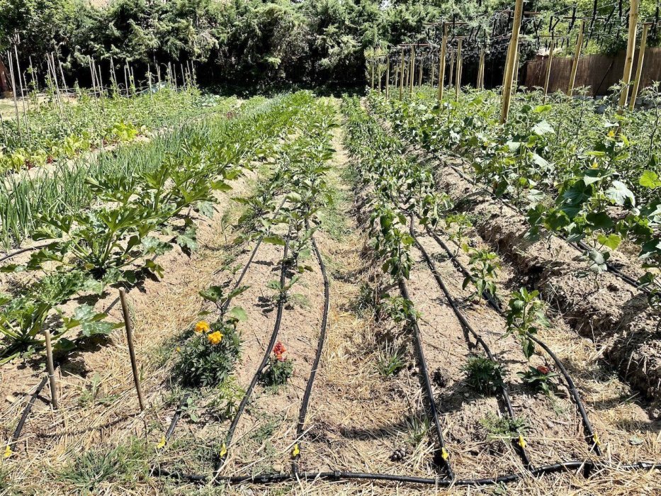 Huerto Urbano en Aravaca y Mercado de Productos Ecológicos