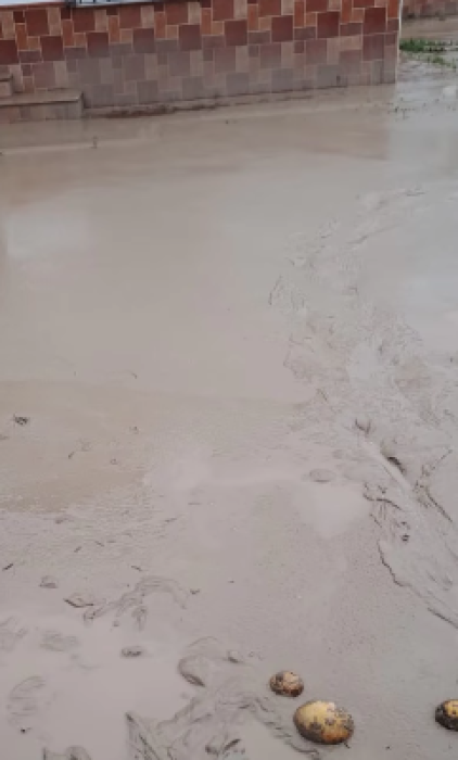 GEA: Limpiando barro, sembrando apoyo