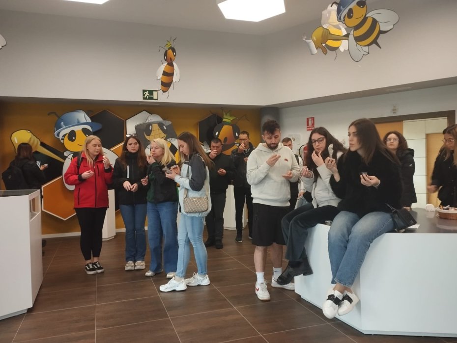 Guardianes de la Colmena