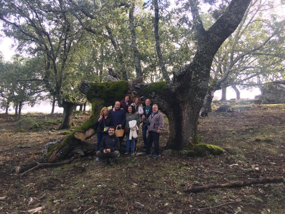 Declaración de Bosque Singular - Carvajal de Gredos