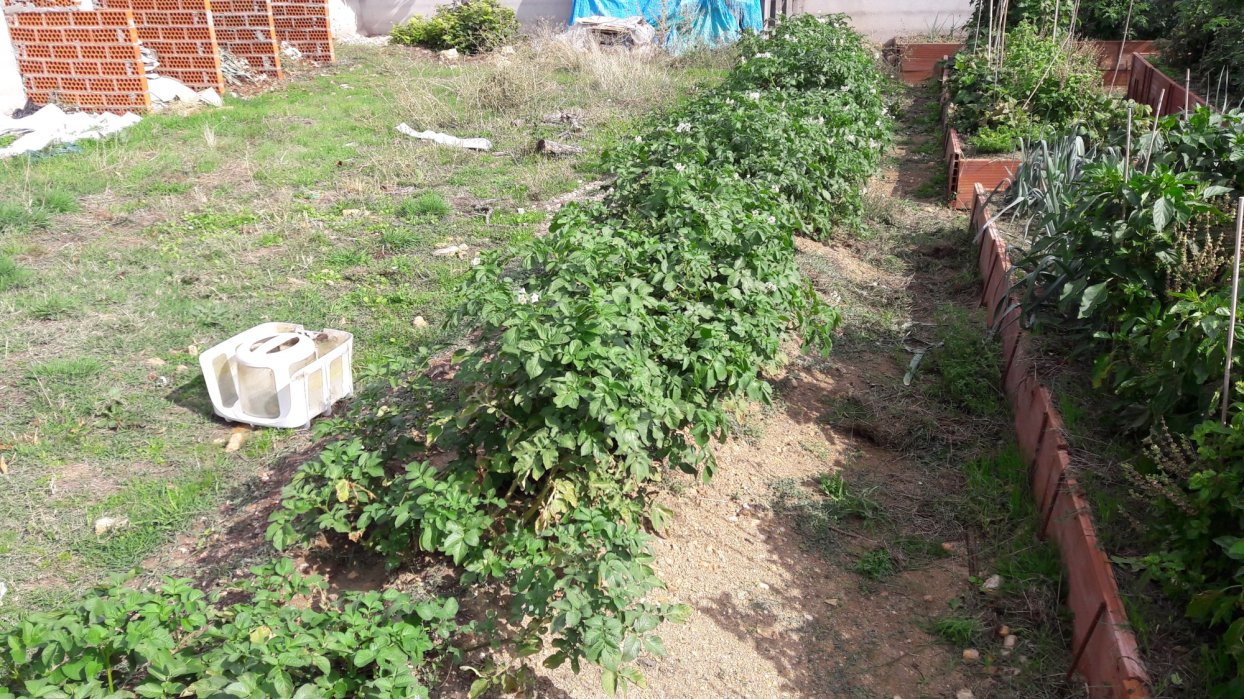 Casa Rural La Perla: tu estancia rural sostenible y consciente en Guadalajara 