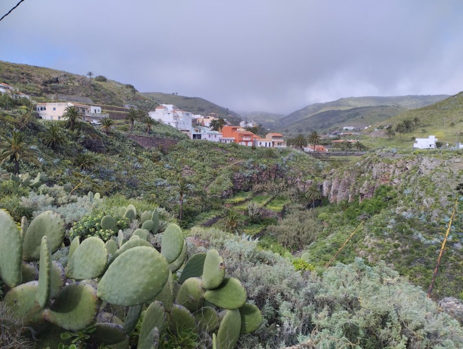 REGENERACION DEL BARRANCO DE LA AZUCENA , ARURE