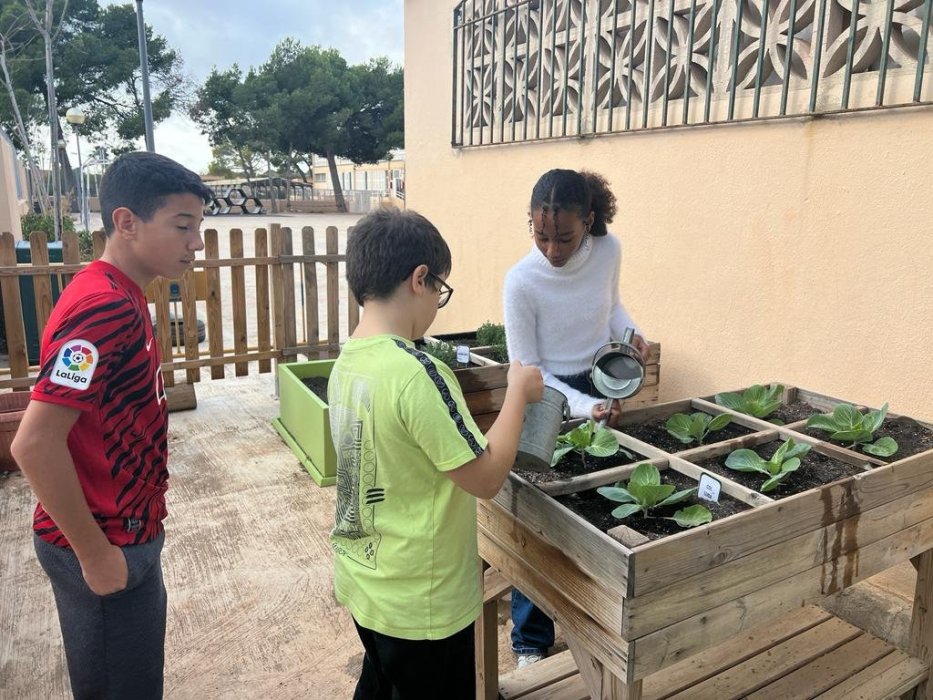 Huerto escolar