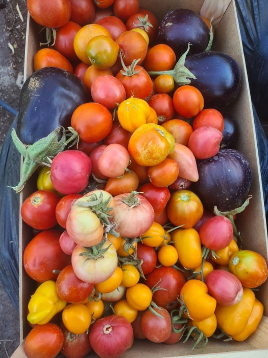 Tu Cultivas Tu Comes, ven a  Huertos Naturales Tucutuco