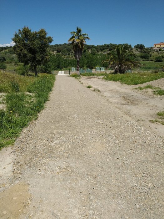 Huertos sociales en Valdeobispo