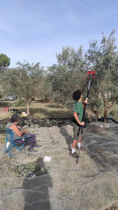 COMUNITAT OBERTA/MIGJORN