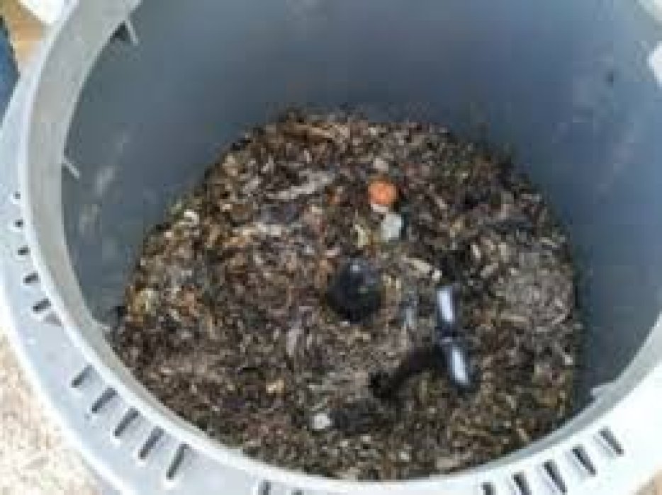 COMPOSTERA - CEIP El Risco de Agaete