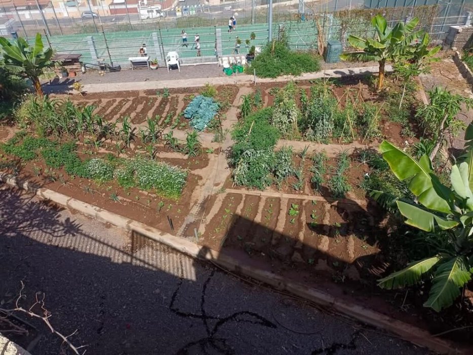  “Manos a la Tierra” CEIP Barranco las Torres