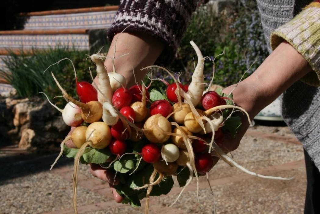 Valle y Vega Cooperativa Agroecológica de Granada, Fomentamos un consumo sostenible.