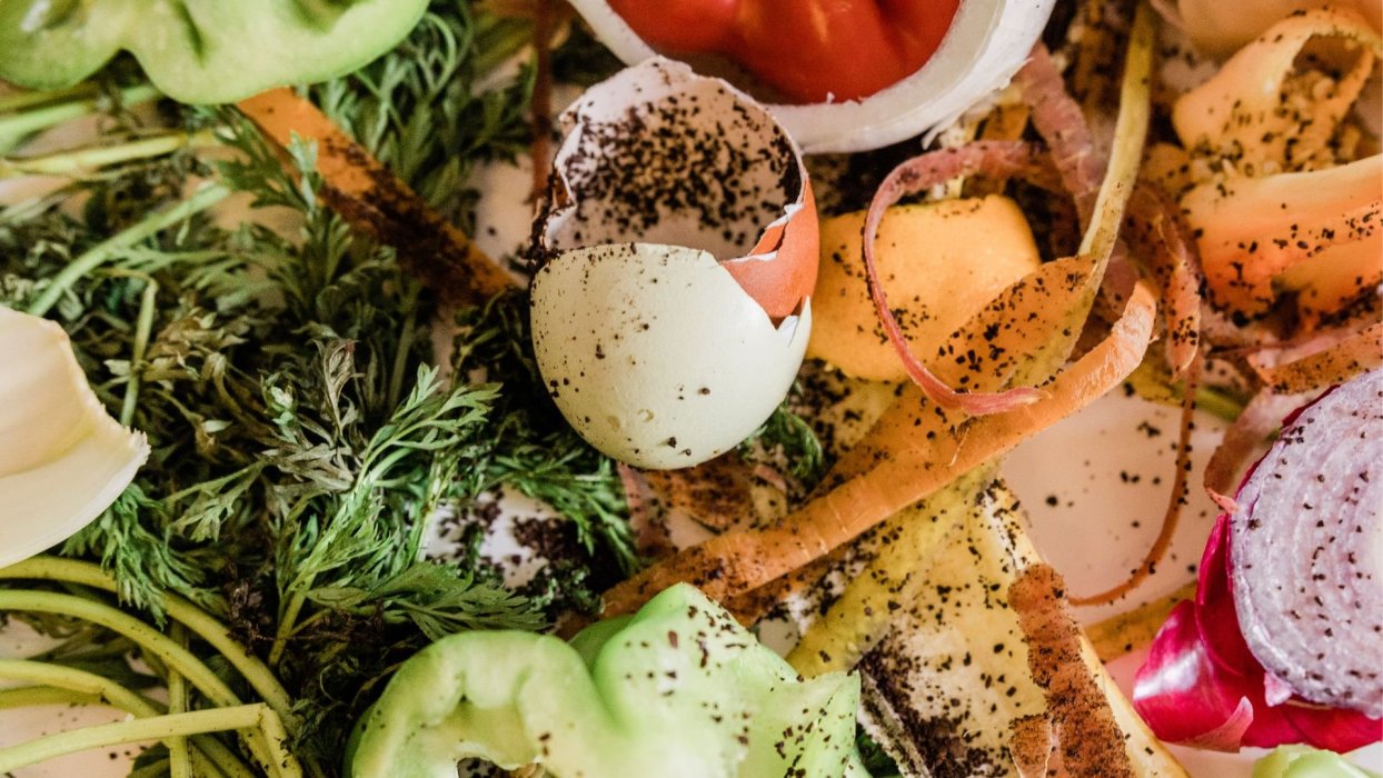 Kuboshi: De residuos a vida, compostaje con propósito