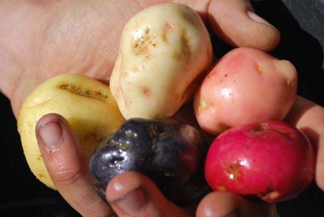 Valle y Vega Cooperativa Agroecológica de Granada, Fomentamos un consumo sostenible.