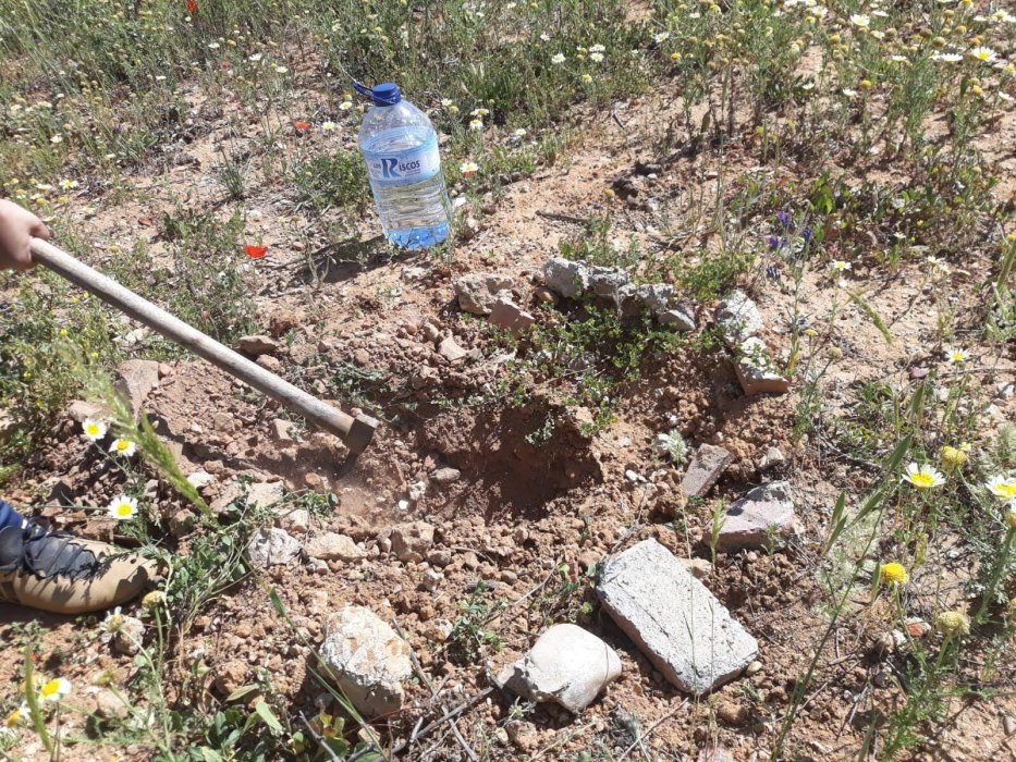 Forestación de antiguas escombreras, hagamos un pulmón a la ciudad.