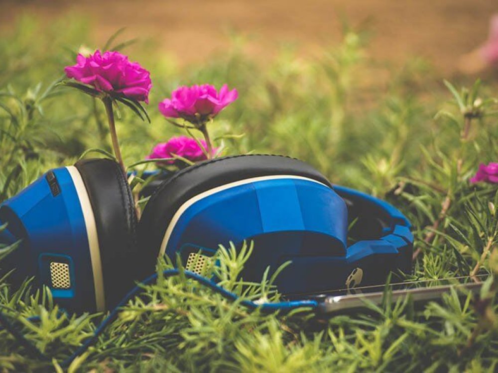 Beneficios de escuchar música con sonidos de la naturaleza