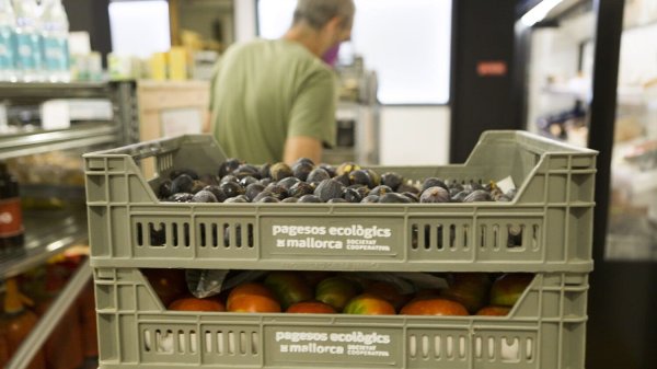 Supermercado cooperativo Terranostra: el consumo que transforma