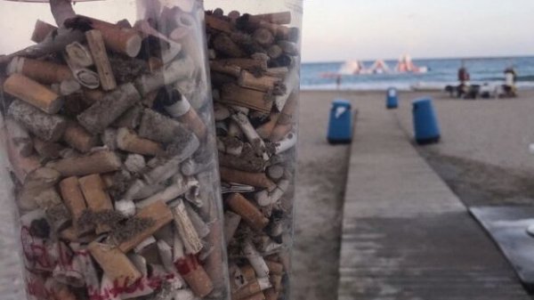 Recogidas de residuos en playas y montes de Alicante