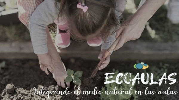 ECOAULAS: Integrando el medio natural en las aulas (CEIP COSTA QUEBRADA)