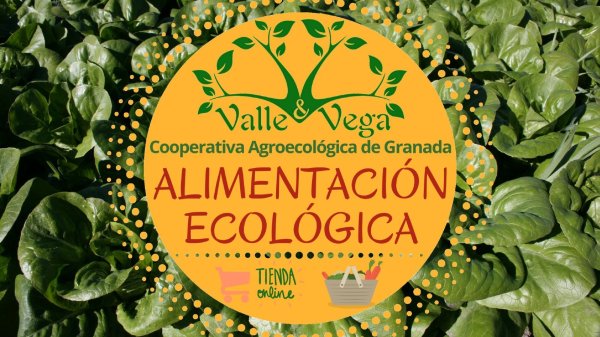 Valle y Vega Cooperativa Agroecológica de Granada, Fomentamos un consumo sostenible.